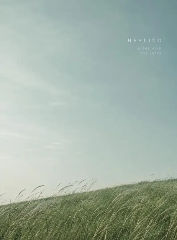 跟着风呼吸（治愈专区）封面海报，合辑 · 十分钟一次深呼吸