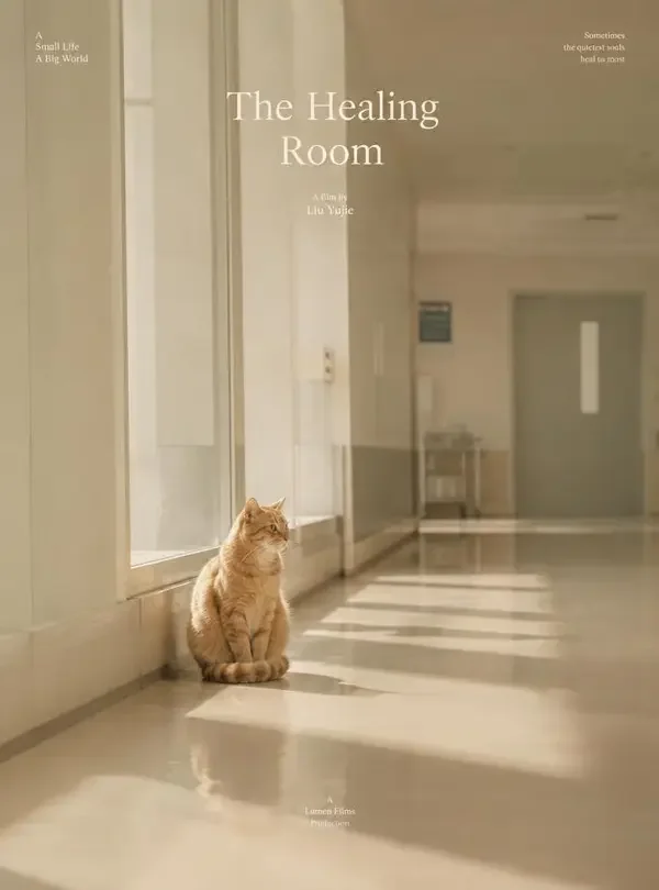 医院里的橘猫 - 福利在线观看首屏推荐海报
